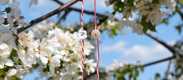 MARTAKIA, COLOURFUL SPRING BRACELETS